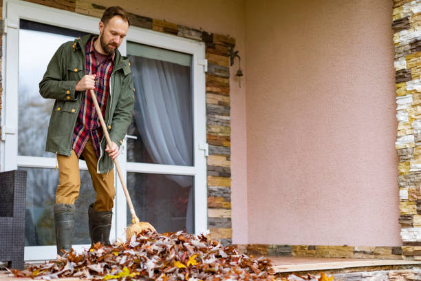 Basement Cleanout Services in Victoria, MN